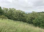 Eladó lakóövezeti telek Zalaegerszeg