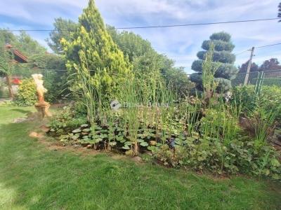 Eladó családi ház Kecskemét