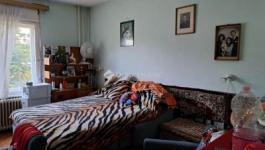 Eladó családi ház Érd