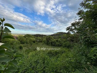 Eladó nyaraló Budaörs