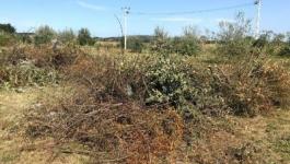 Eladó egyéb telek Velence