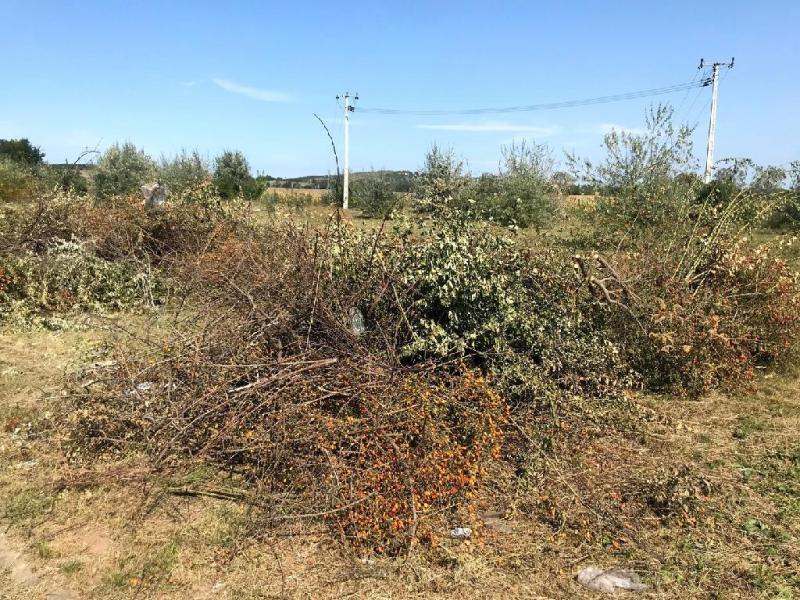 Eladó egyéb telek Velence