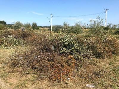 Eladó egyéb telek Velence