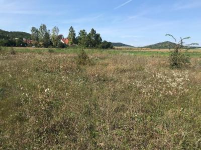 Eladó egyéb telek Velence