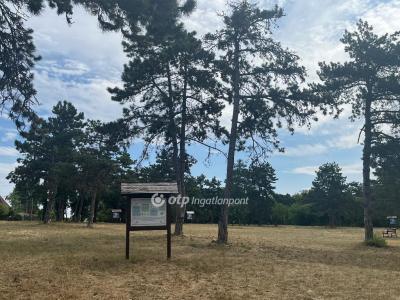 Eladó családi ház Érd