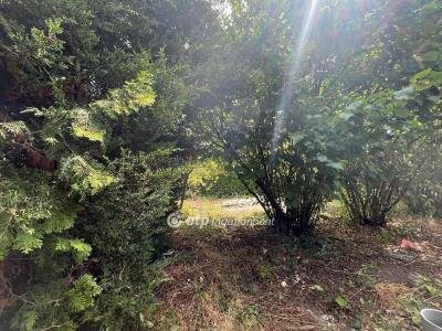 Eladó családi ház Érd