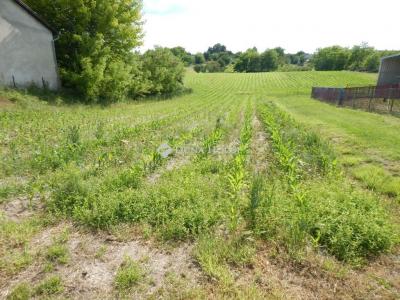Eladó lakóövezeti telek Dég