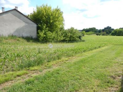 Eladó lakóövezeti telek Dég