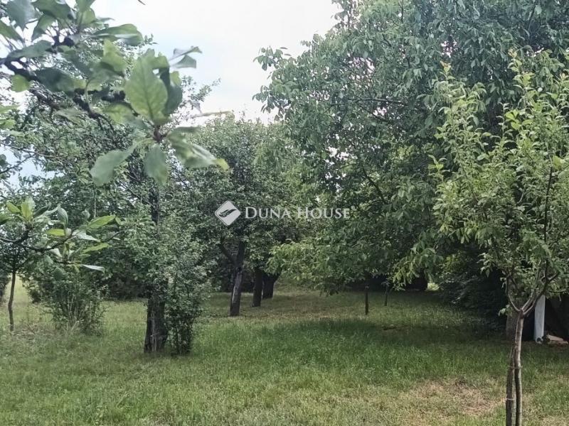 Eladó egyéb telek Lepsény