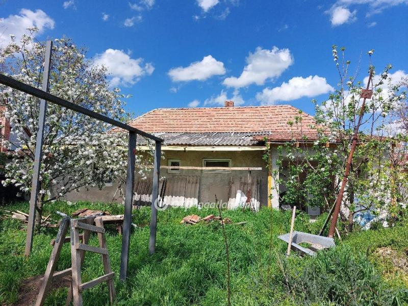 Eladó családi ház Szegvár