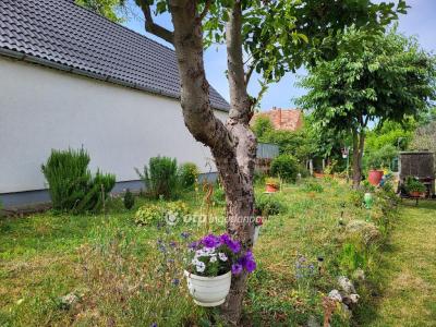 Eladó ikerház Enying