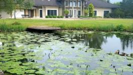 Eladó családi ház Debrecen