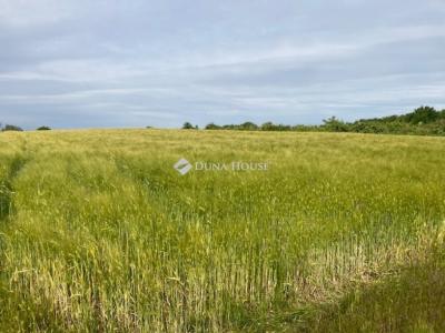 Eladó külterületi telek Mány