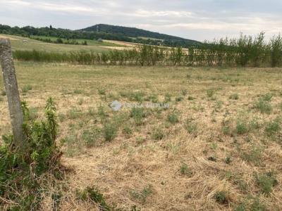 Eladó külterületi telek Üröm