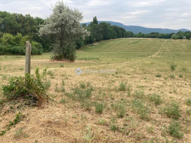 Eladó külterületi telek Üröm