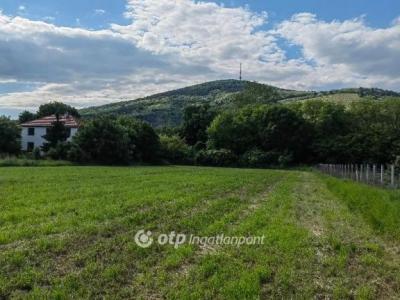 Eladó lakóövezeti telek Tokaj