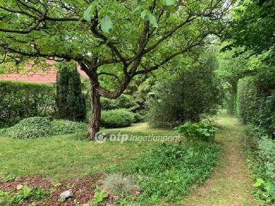 Eladó lakóövezeti telek Solymár