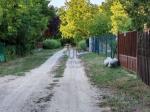 Eladó nyaraló Balatonkenese