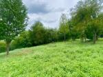 Eladó lakóövezeti telek Zalaegerszeg