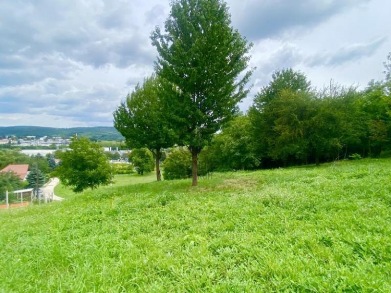 Eladó lakóövezeti telek Zalaegerszeg