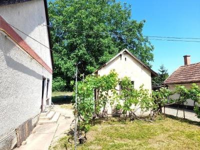 Eladó családi ház Mezőhegyes