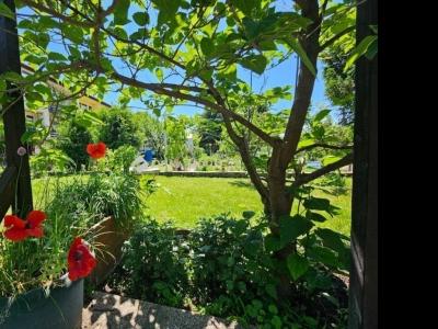 Eladó sorház Szigetszentmiklós