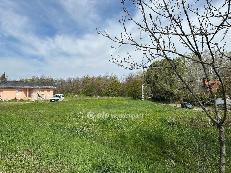 Eladó lakóövezeti telek Szeged