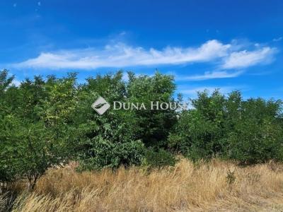 Eladó külterületi telek Tápiószecső