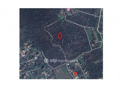 Eladó nyaraló Budapest