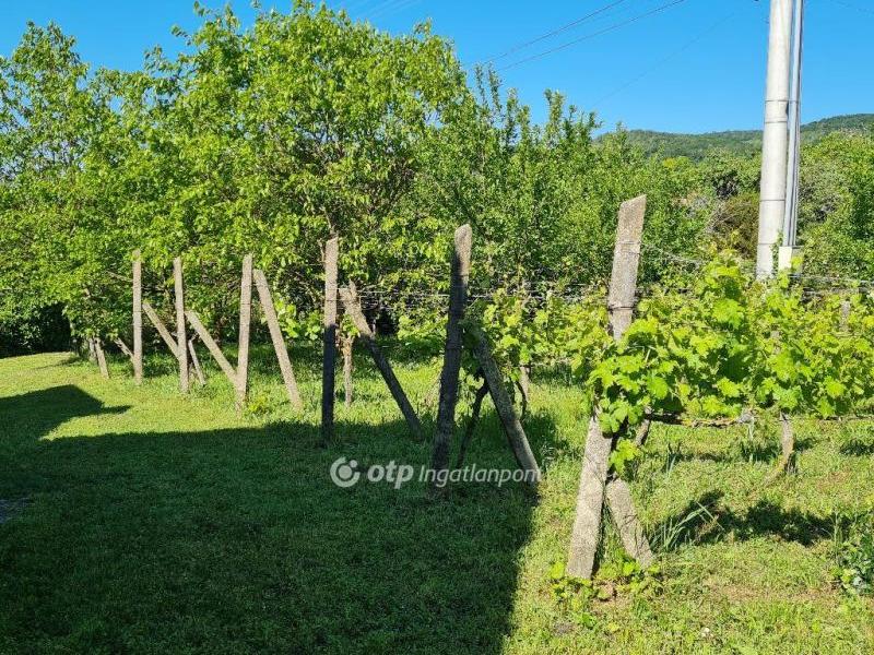 Eladó lakóövezeti telek Ábrahámhegy