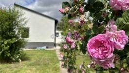 Eladó családi ház Budapest