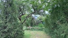 Eladó lakóövezeti telek Solymár