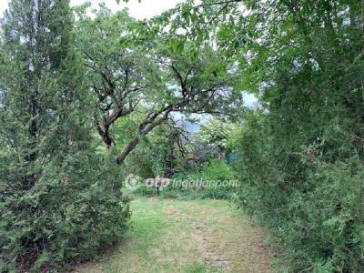 Eladó lakóövezeti telek Solymár