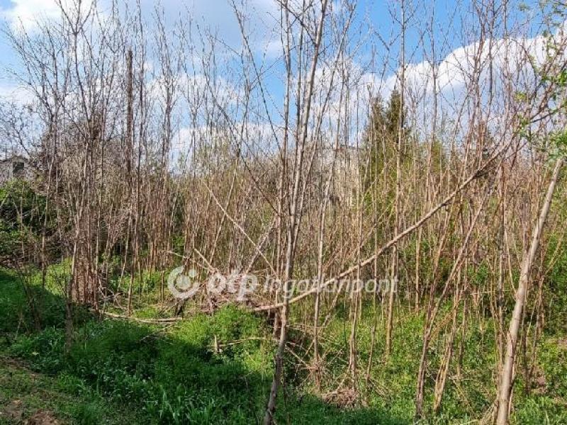 Eladó lakóövezeti telek Solymár