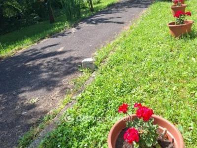 Eladó családi ház Solymár