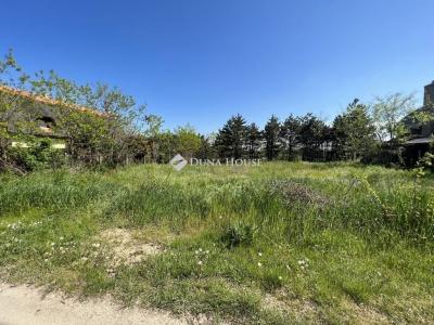 Eladó lakóövezeti telek Délegyháza