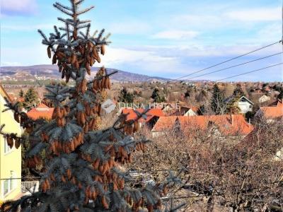 Eladó családi ház Törökbálint