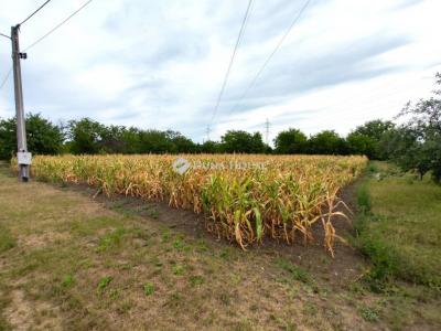 Eladó lakóövezeti telek Békéscsaba