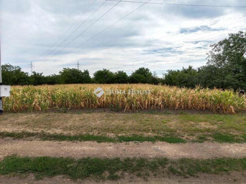 Eladó lakóövezeti telek Békéscsaba