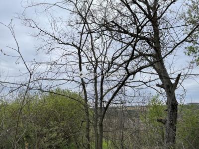 Eladó üdülőövezeti telek Bag