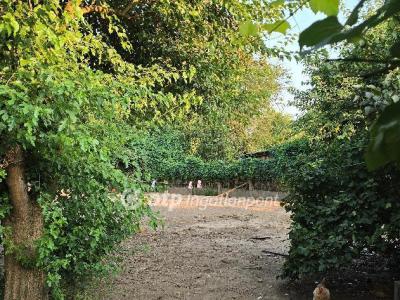 Eladó családi ház Hajdúhadház