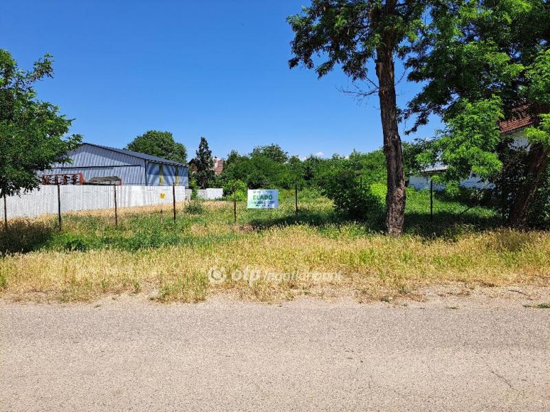 Eladó lakóövezeti telek Szarvas