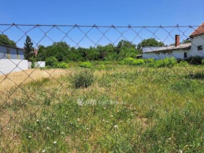 Eladó lakóövezeti telek Szarvas