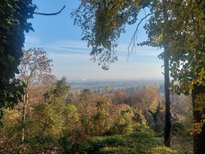 Eladó kastély Tahitótfalu