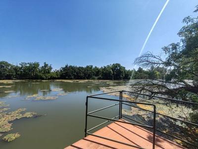 Eladó telek Szentes