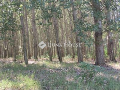 Eladó tanya Cegléd