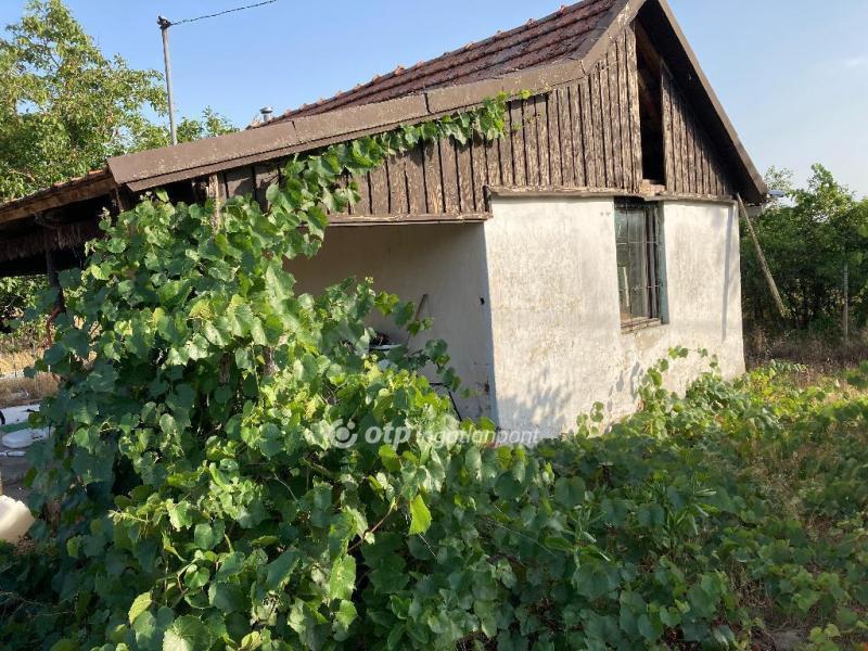Eladó általános mezőgazdasági ingatlan Csongrád