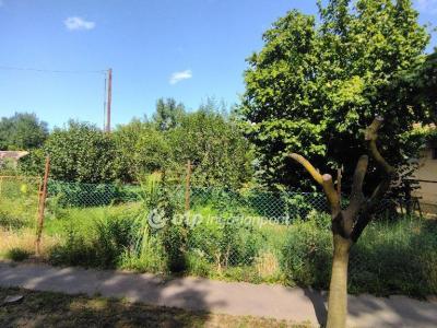 Eladó lakóövezeti telek Szentes