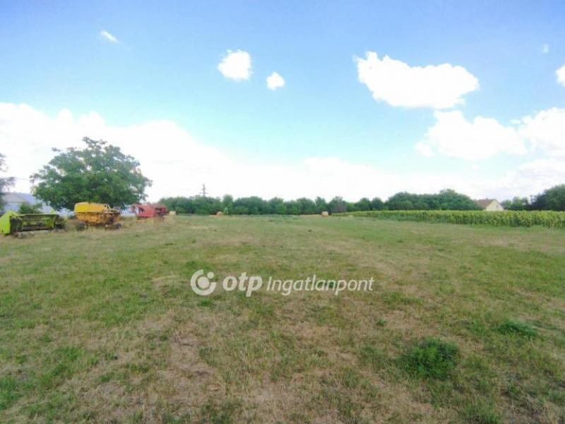 Eladó lakóövezeti telek Szentes