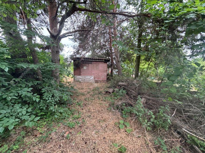 Eladó üdülőövezeti telek Monor